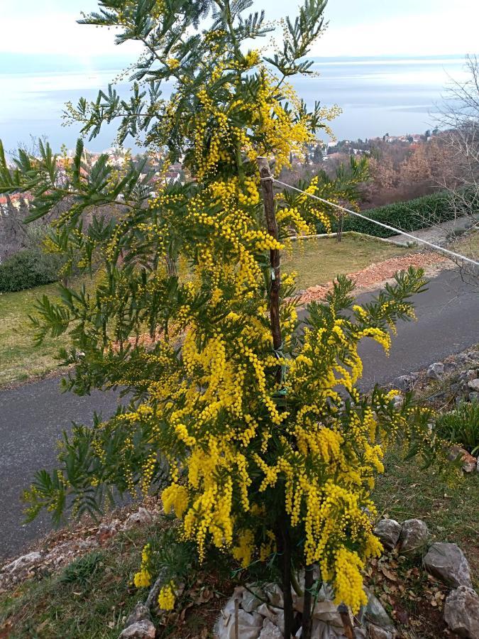 Amazing View Kvarner Bay ロヴラン エクステリア 写真